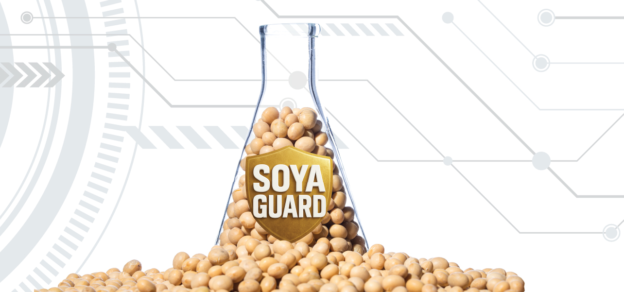 NIR - Categories-100